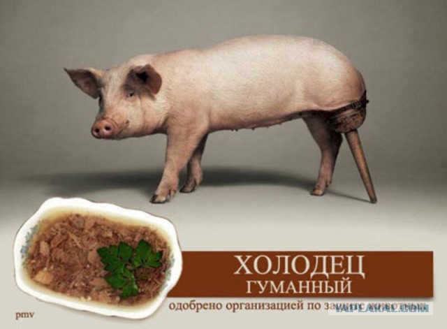 Рацион пиратов XVII — XVIII вв.