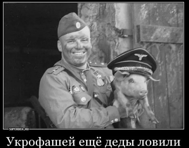 ⚡️Немецкий Bild обратился к россиянам