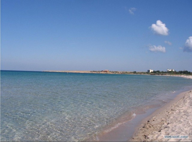 Летние красоты мыса Тарханкут