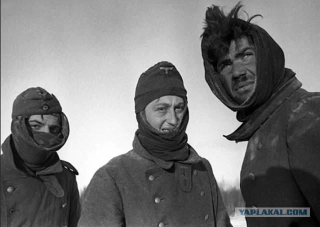 Ребята подтвердят