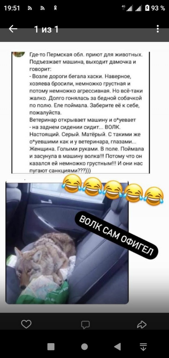 Пандемия. Коронавирус и съехавшие крыши. Россия и мир. Часть 32.