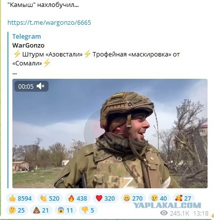 Трофейная маскировка от "Сомали"...