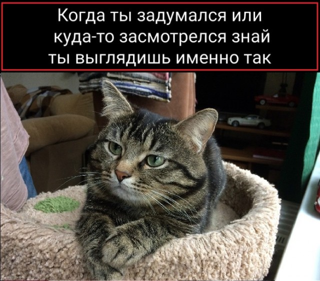 Картинки с надписями и всякие жизненные фразы