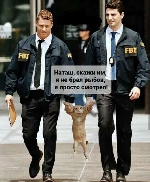 Так себе картинки 26.05.22