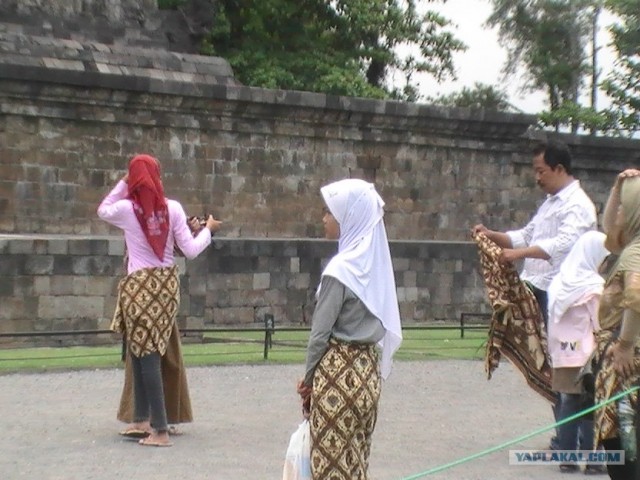 Они живут только 40 лет