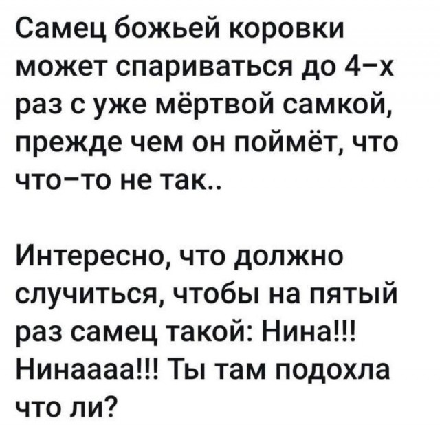Когда уже родишь?