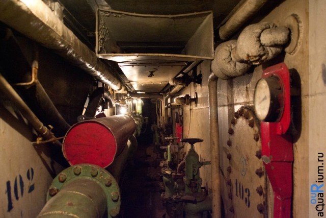 СПб глазами уставшего туриста...