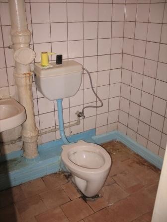 Кто куда ходит срать