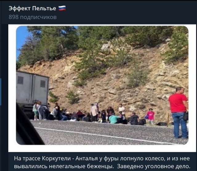 Пандемия съехавших крыш - разновидности болезни. Россия и мир. Часть 39.