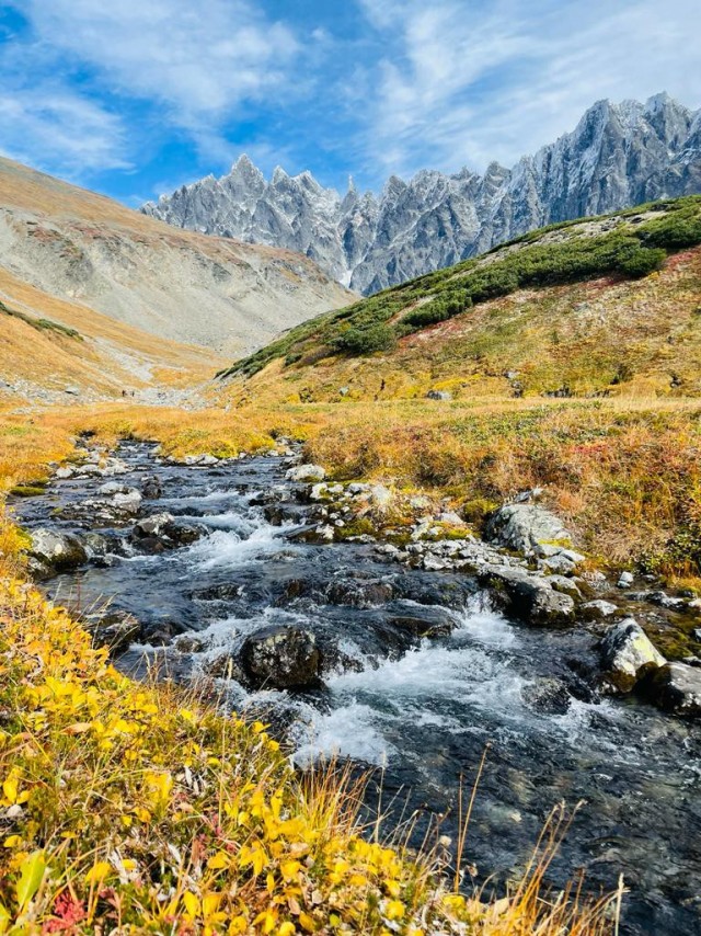 Челябинск Парк Гагарина или Городской Бор. Осень