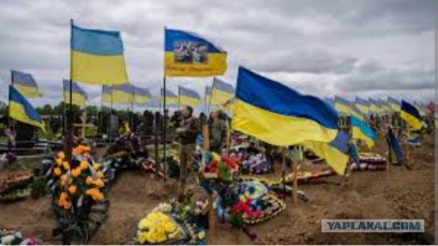 А кто ещё отбирал кровь у детей на нужды армии?