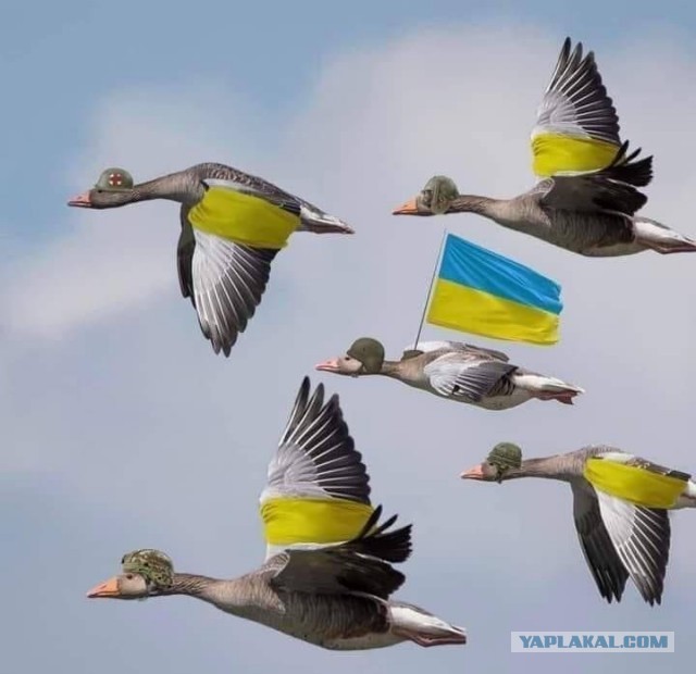 Аэродром в Курской области был атакован с помощью беспилотника.