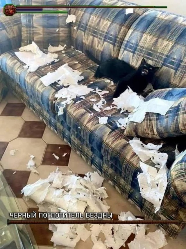Картинки и мемы, всем хороших выходных