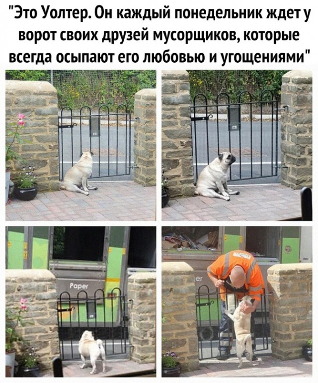 Немного картинок для настроения - 127