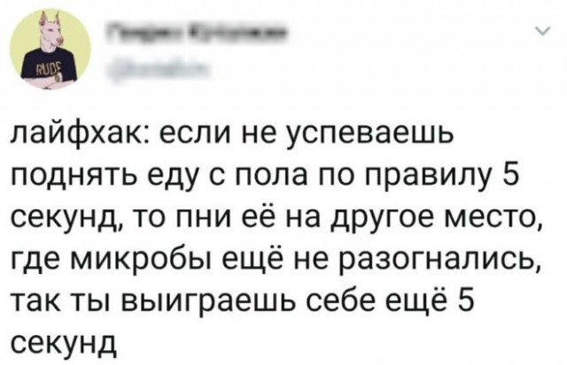 Картинки и мемы, всем хороших выходных