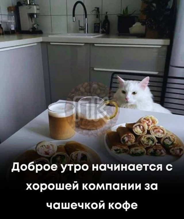 Победная поступь идиотизма по планете – том 10