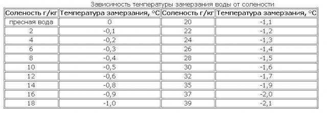 Морские котики