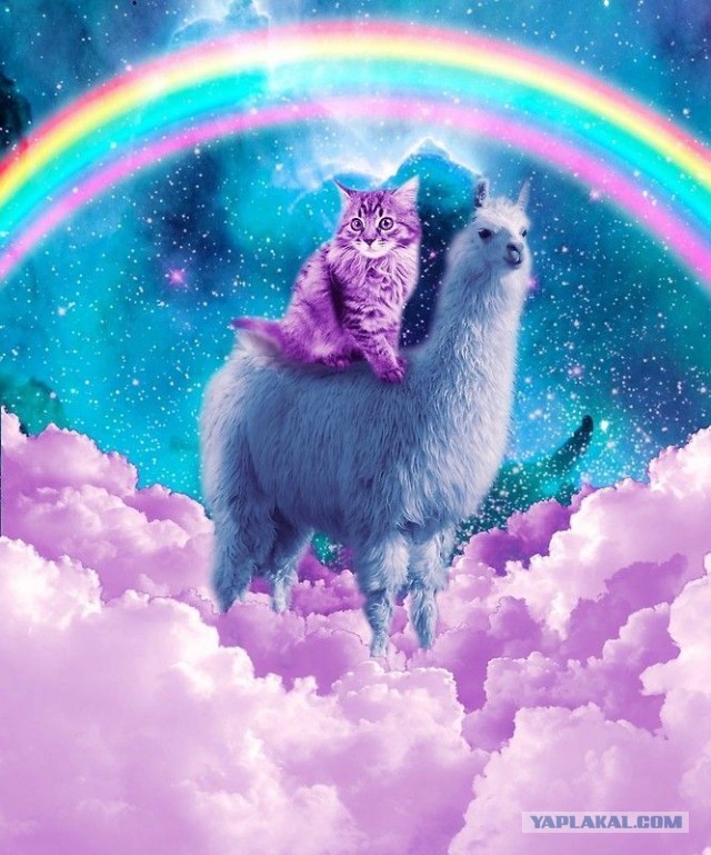 Случай на заправке