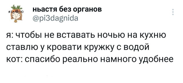 Победная поступь идиотизма по планете – том 16