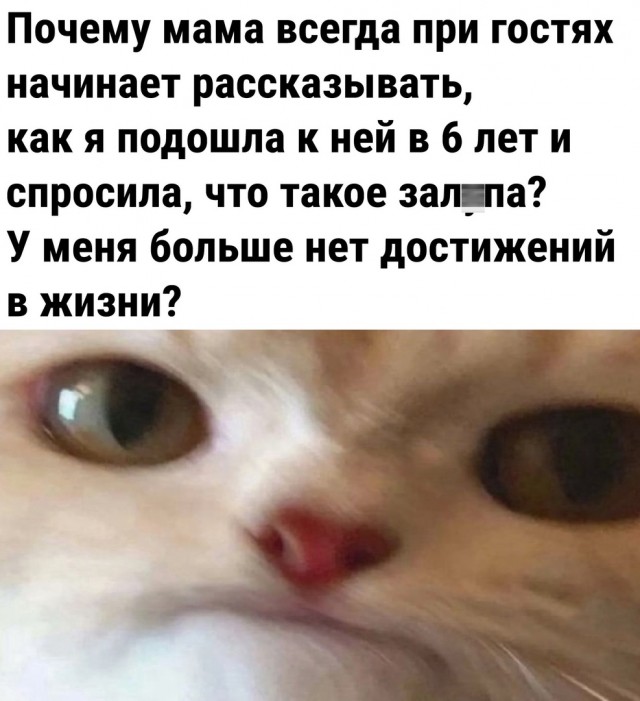 Так себе картинки 12.08.23