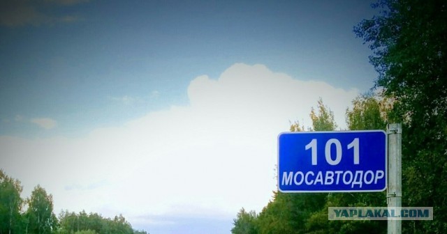 Монолог дня от сотрудницы ГБУ «Жилищник»: «Просто от этих тварюг и от этих москвичей у меня нет слов»