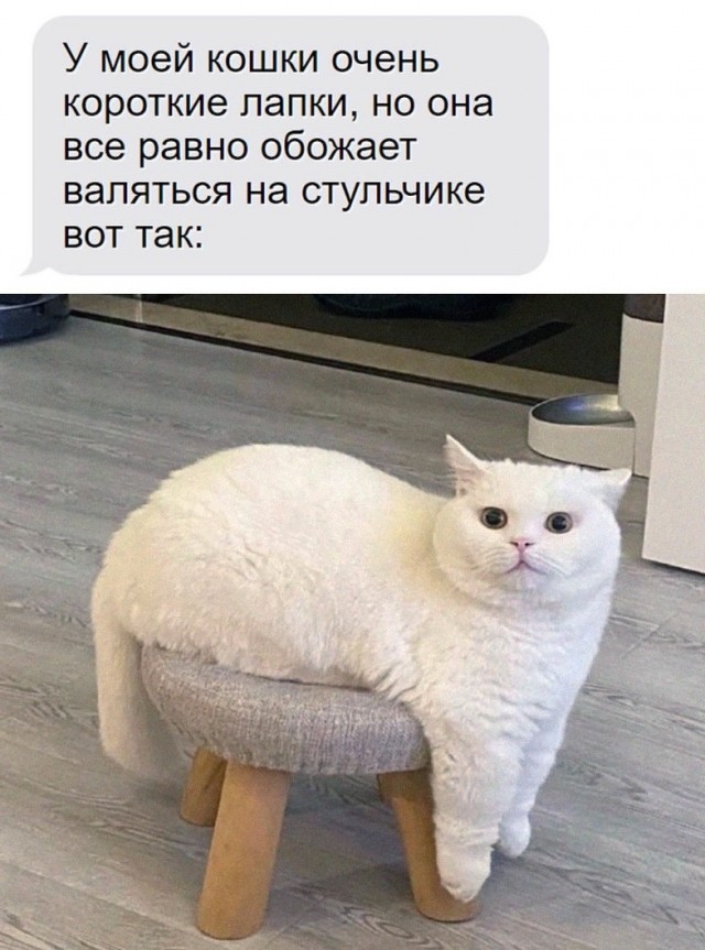 Тлидцать тли от 26 февлаля