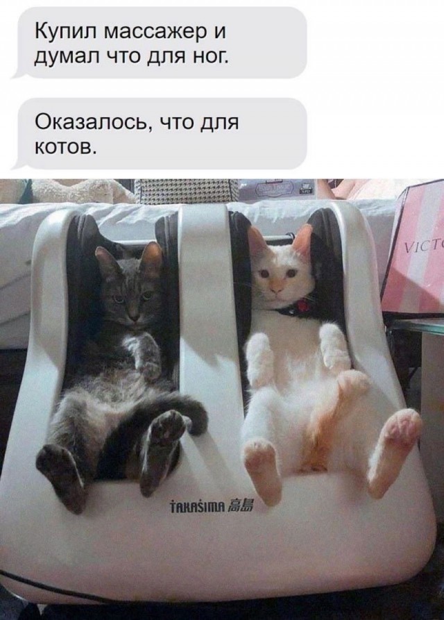 Весёлый полтишок 04.03.24