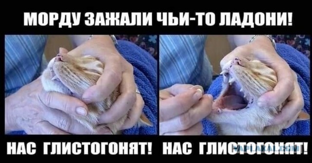 Как  выглядят солистки группы «Тату» в 2024 году