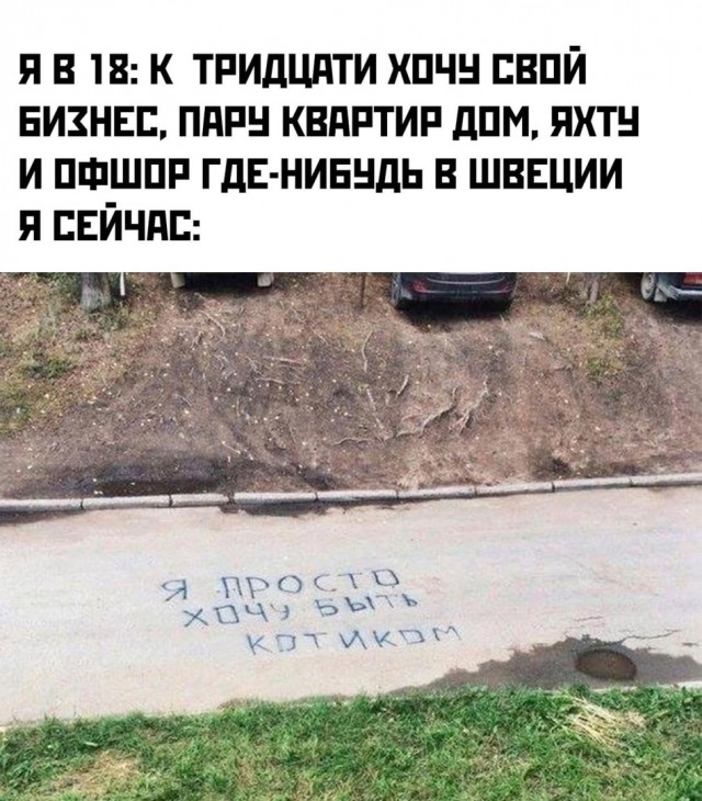 Так себе картинки 28.05.24