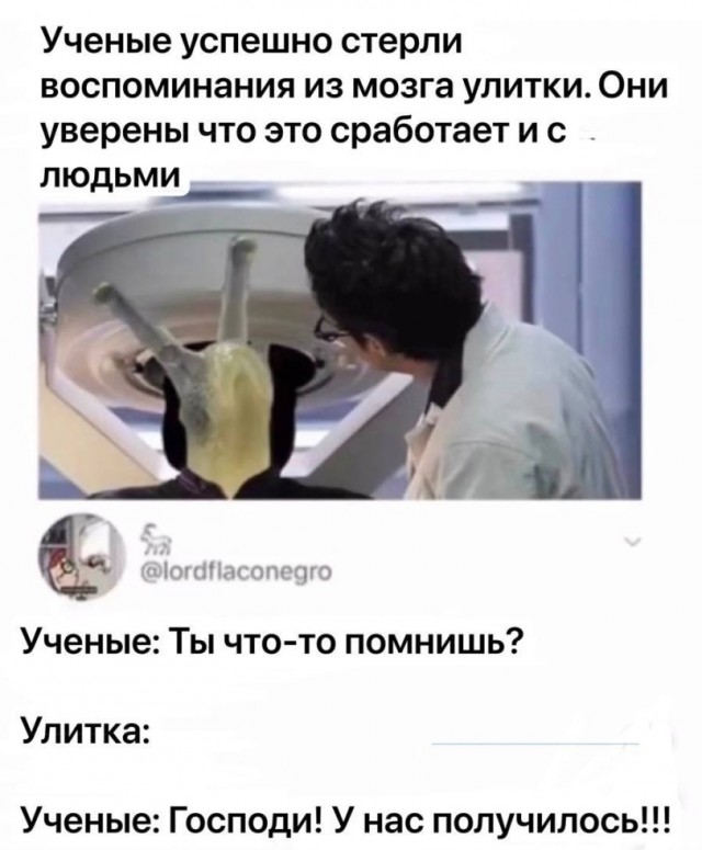 Никакие картинки