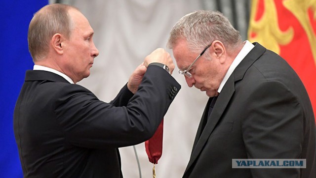 Сын Жириновского раскрыл размер наследства от знаменитого отца