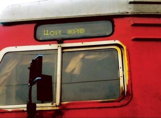 Цой жив!
