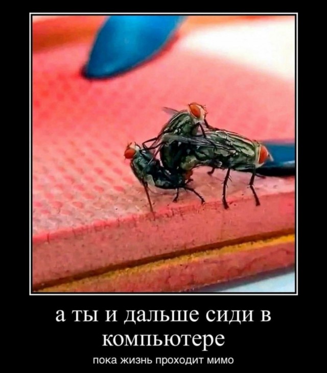 Картинки разные с надписями и без