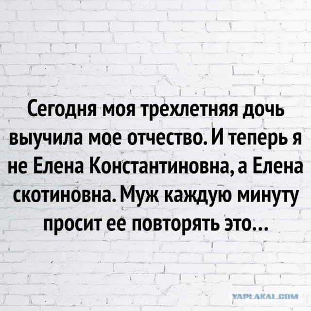 Завалялось тут случайно немного забавных картинок