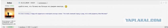 Хэппи-энд в истории с котом Лучиком, которого украли из зоомагазина подростки-неформалы: пушистик наконец-то обрëл новый дом и любящих хозяев