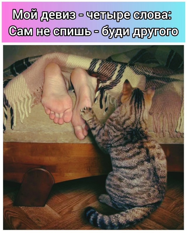Так себе картинки 31.12.24