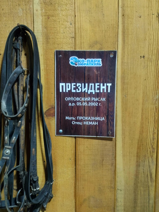 Новый год в Уральских горах.