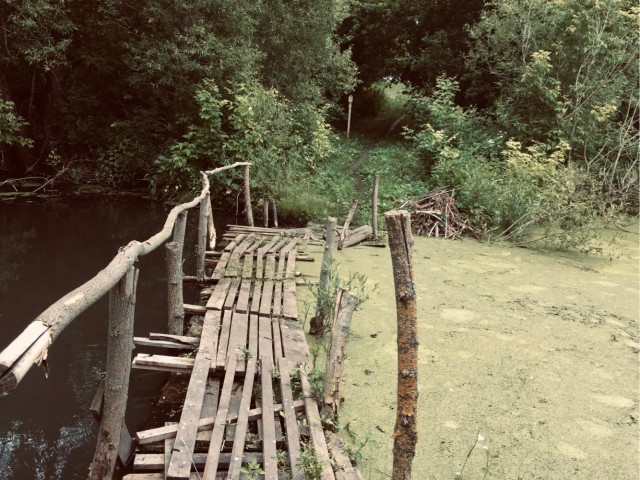 Фото с телефона
