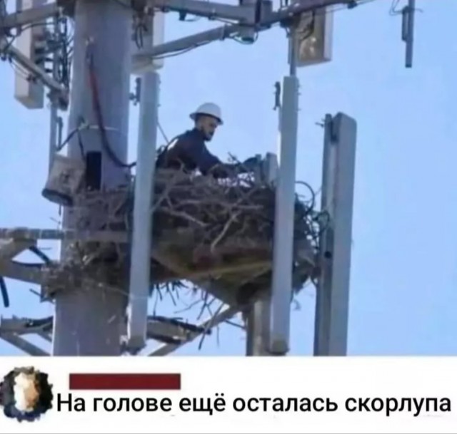 Завалялось тут случайно немного забавных картинок