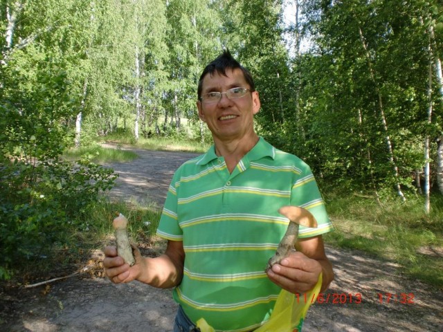 В лес по грибы