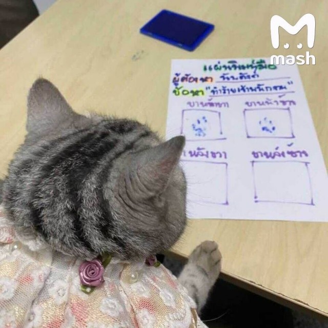 Нападение на полицейских в Тайланде