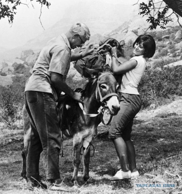 Наталья Варлей