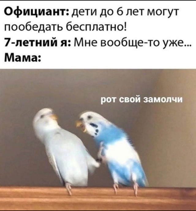 Так себе картинки 14.06.25