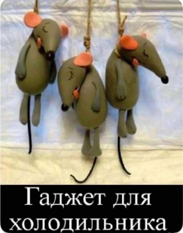 Так себе картинки 18.07.25