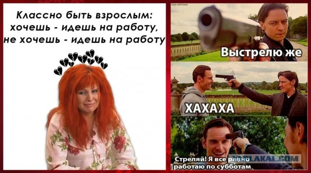 Веселые картинки в маленькую пятницу (23.07)