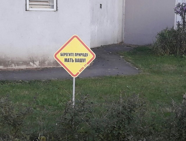 Так себе картинки 07.09.25