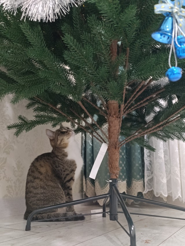План нападения.