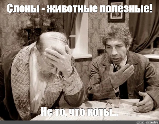 Знаете ли вы?