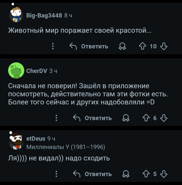 Пермский зоопарк
