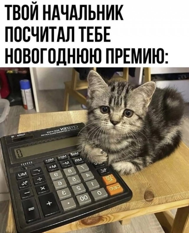 Ну вот, другое дело!